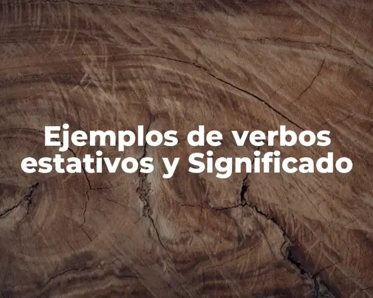 Ejemplos de verbos estativos y Significado
