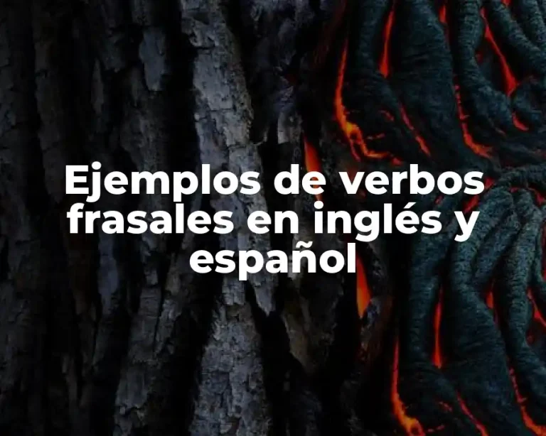 Ejemplos de verbos frasales en inglés y español