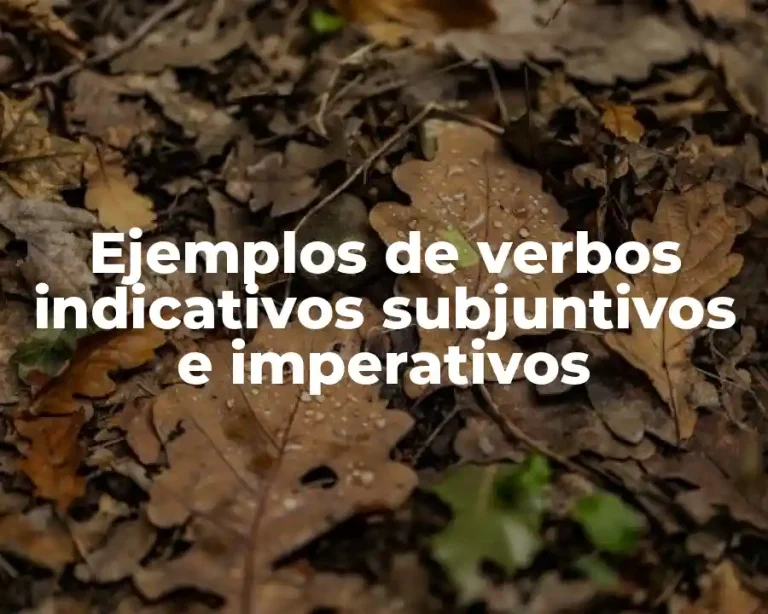 Ejemplos de verbos indicativos subjuntivos e imperativos