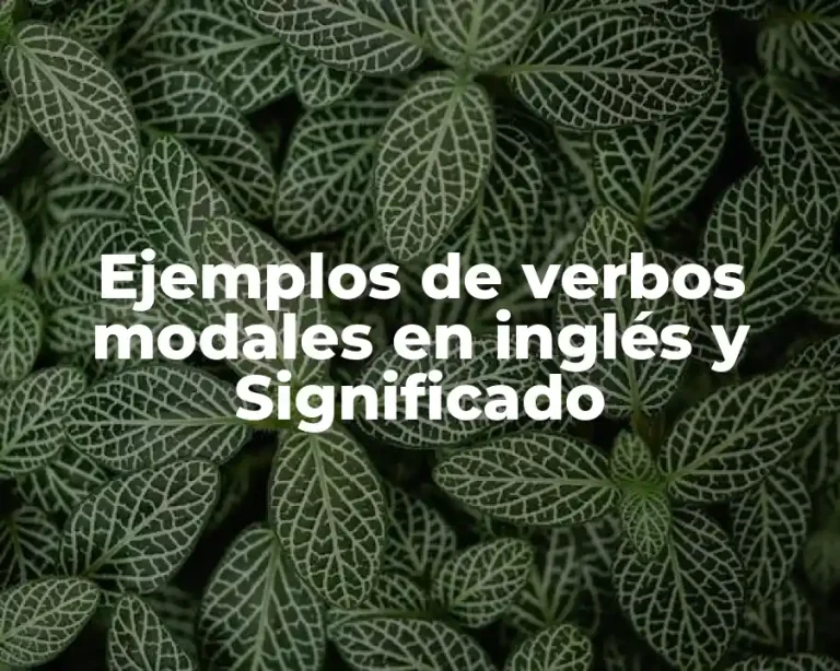 Ejemplos de verbos modales en inglés y Significado