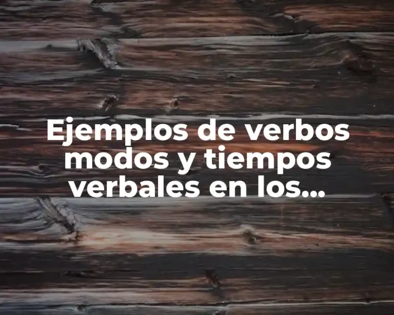 Ejemplos de verbos modos y tiempos verbales en los reglamentos