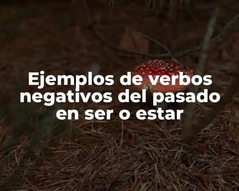 Ejemplos de verbos negativos del pasado en ser o estar