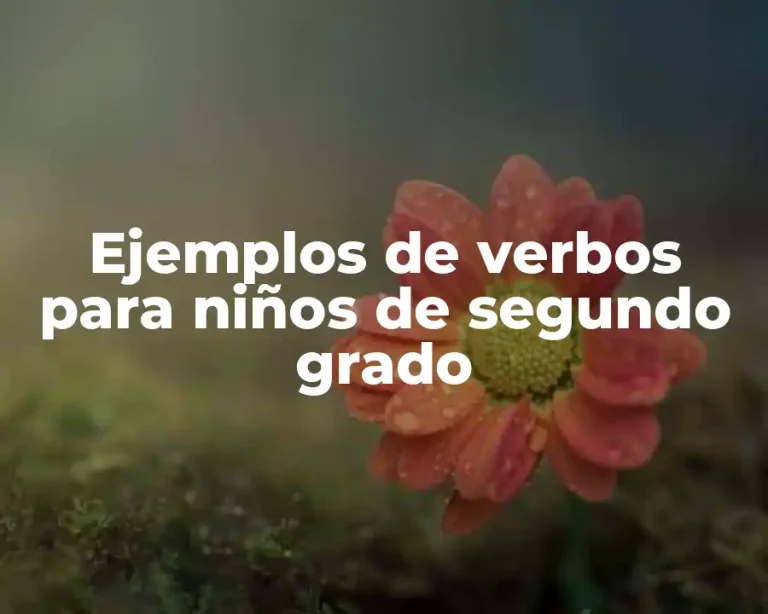 Ejemplos de verbos para niños de segundo grado