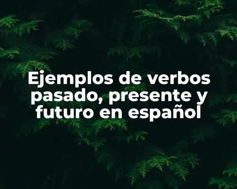 Ejemplos de verbos pasado, presente y futuro en español