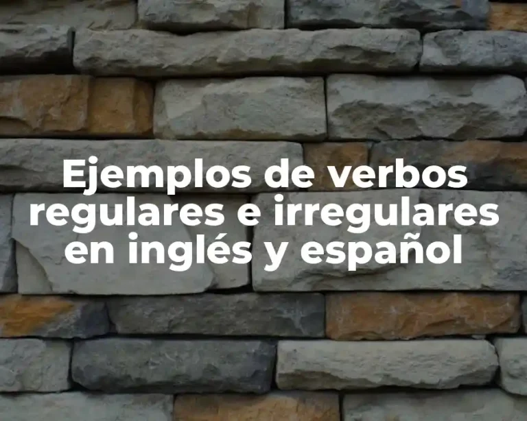 Ejemplos de verbos regulares e irregulares en inglés y español