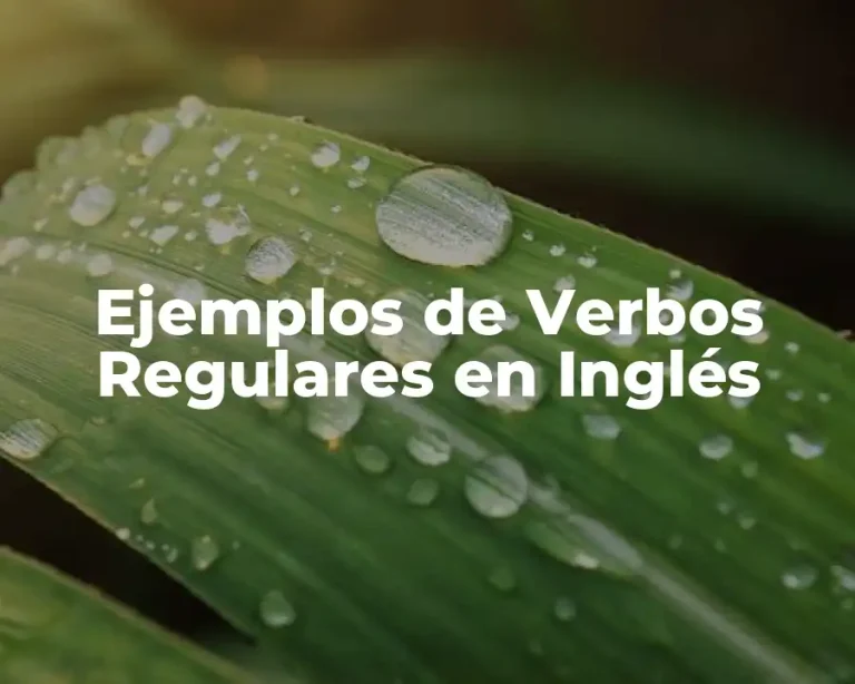 Ejemplos de Verbos Regulares en Inglés