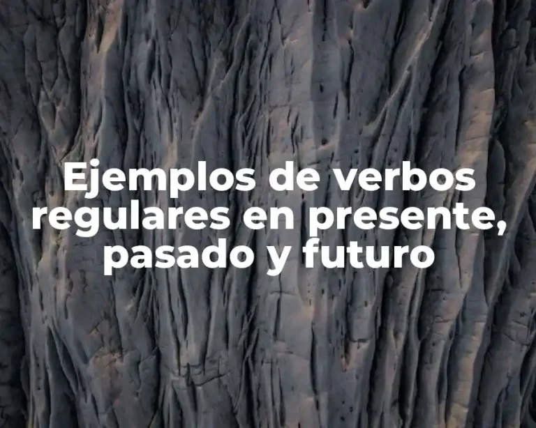 Ejemplos de verbos regulares en presente, pasado y futuro