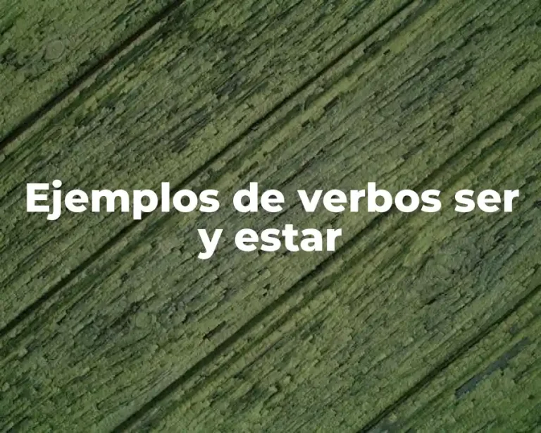 Ejemplos de verbos ser y estar