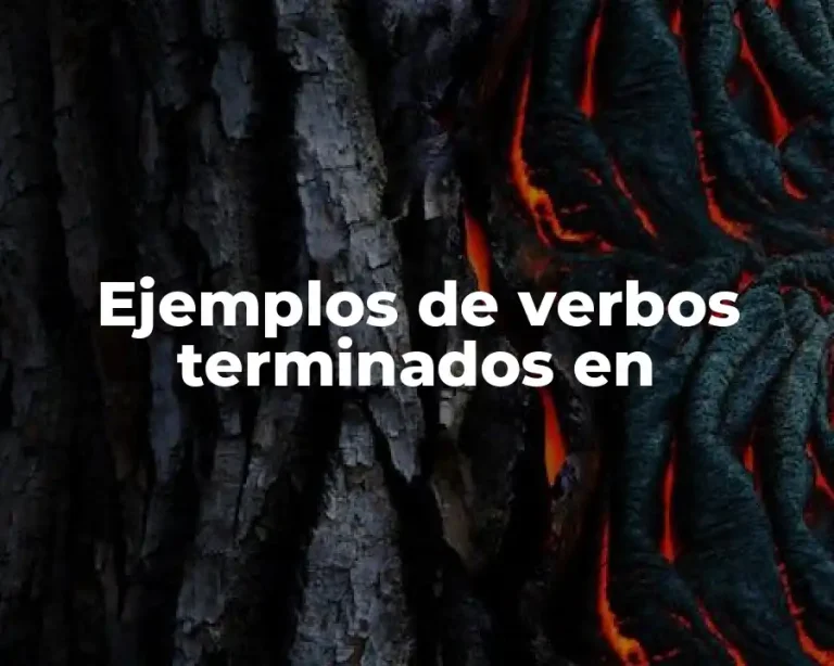 Ejemplos de verbos terminados en