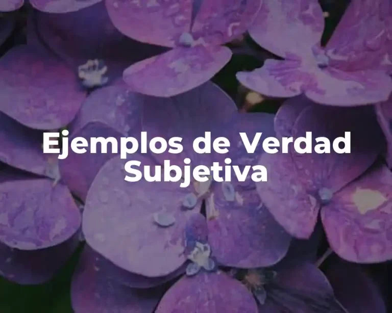 Ejemplos de Verdad Subjetiva