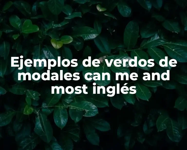Ejemplos de verdos de modales can me and most inglés