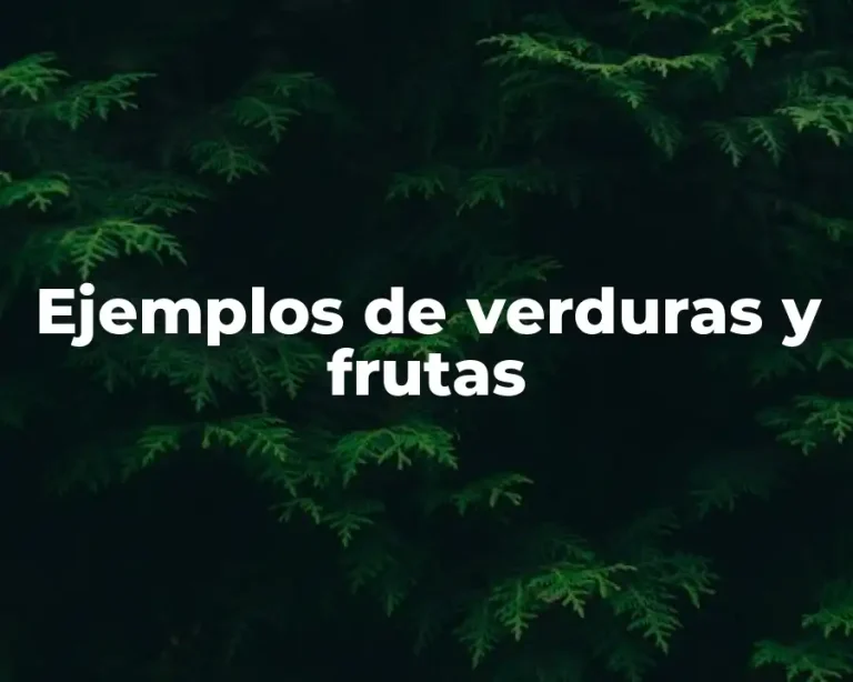 Ejemplos de verduras y frutas