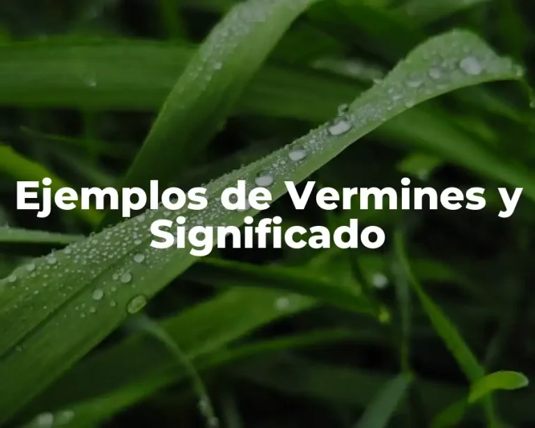 Ejemplos de Vermines y Significado
