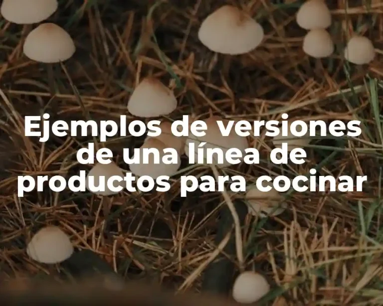 Ejemplos de versiones de una línea de productos para cocinar