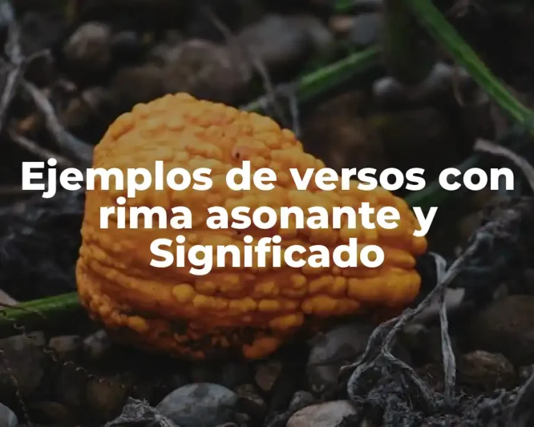 Ejemplos de versos con rima asonante y Significado