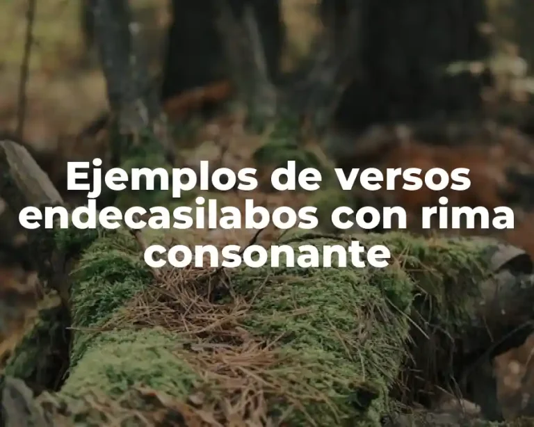 Ejemplos de versos endecasilabos con rima consonante