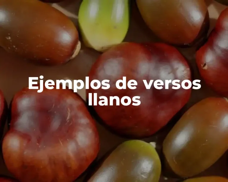 Ejemplos de versos llanos