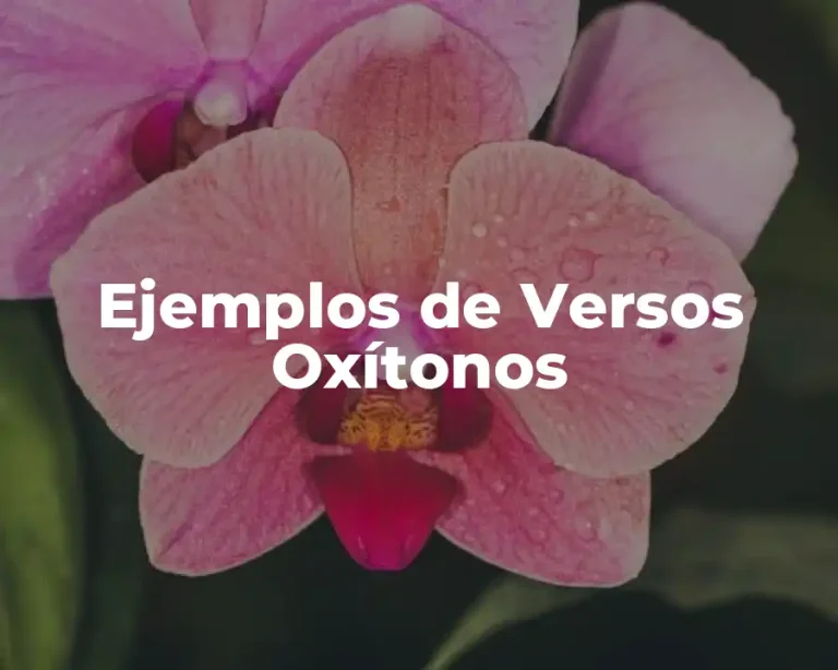 Ejemplos de Versos Oxítonos