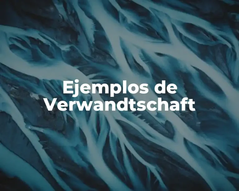 Ejemplos de Verwandtschaft