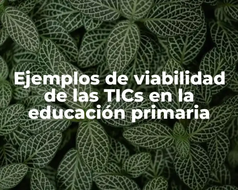 Ejemplos de viabilidad de las TICs en la educación primaria