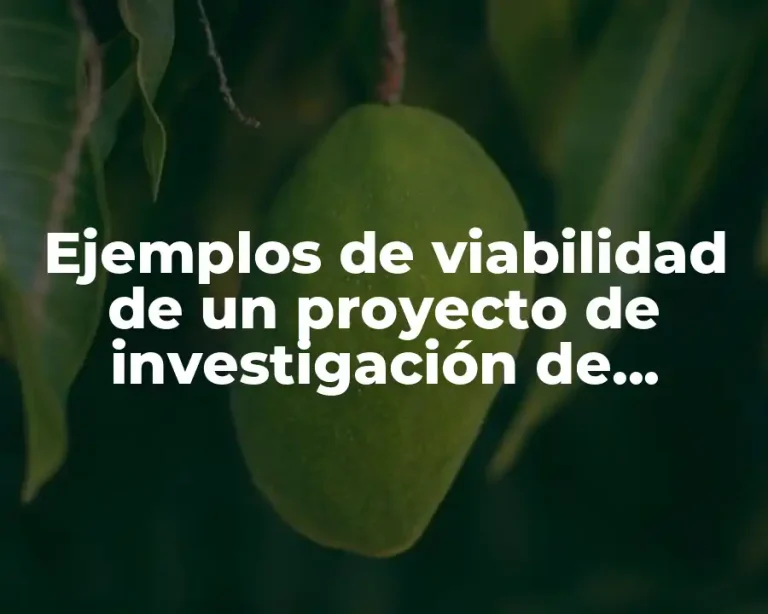 Ejemplos de viabilidad de un proyecto de investigación de compras