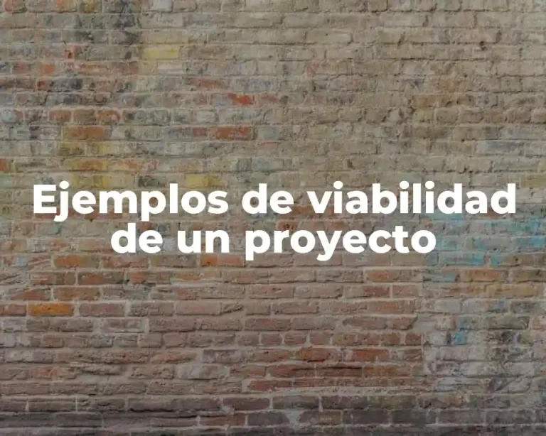 Ejemplos de viabilidad de un proyecto