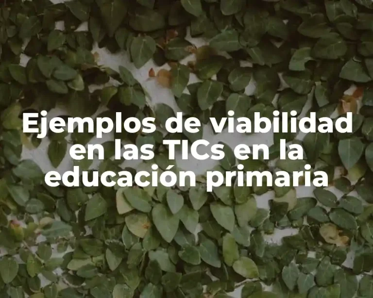 Ejemplos de viabilidad en las TICs en la educación primaria