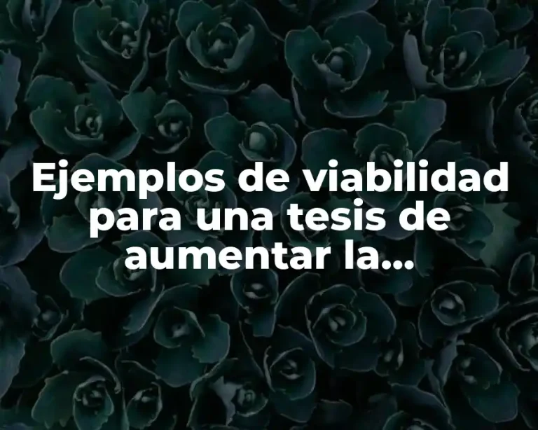 Ejemplos de viabilidad para una tesis de aumentar la productividad