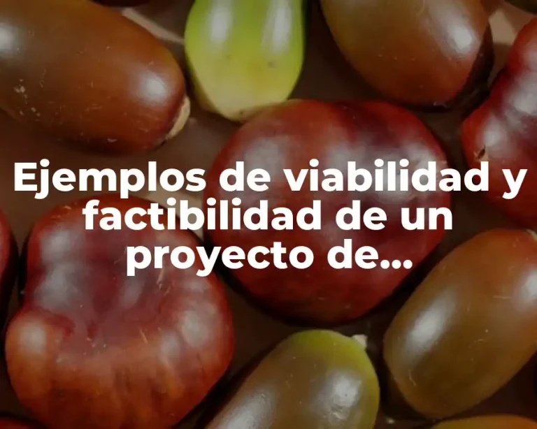 Ejemplos de viabilidad y factibilidad de un proyecto de investigación