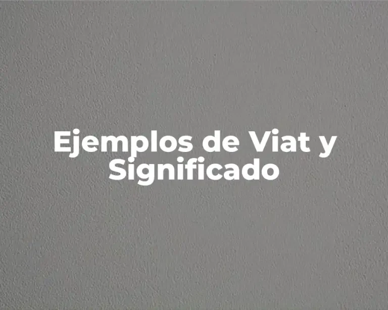 Ejemplos de Viat y Significado