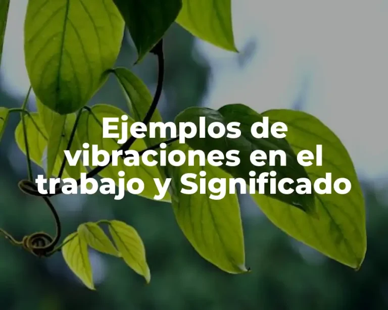 Ejemplos de vibraciones en el trabajo y Significado