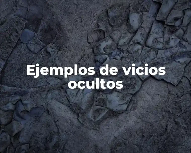 Ejemplos de vicios ocultos