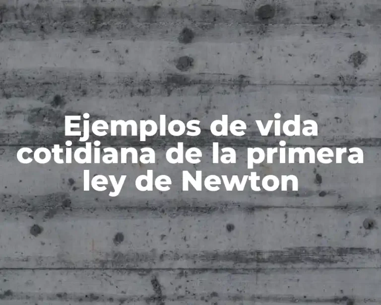 Ejemplos de vida cotidiana de la primera ley de Newton
