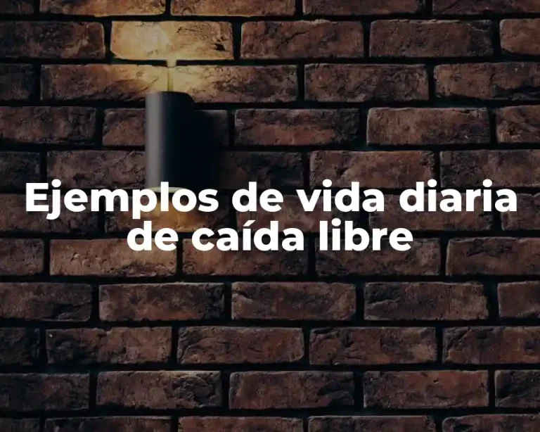 Ejemplos de vida diaria de caída libre