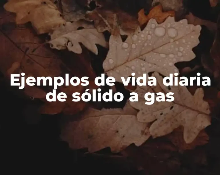 Ejemplos de vida diaria de sólido a gas