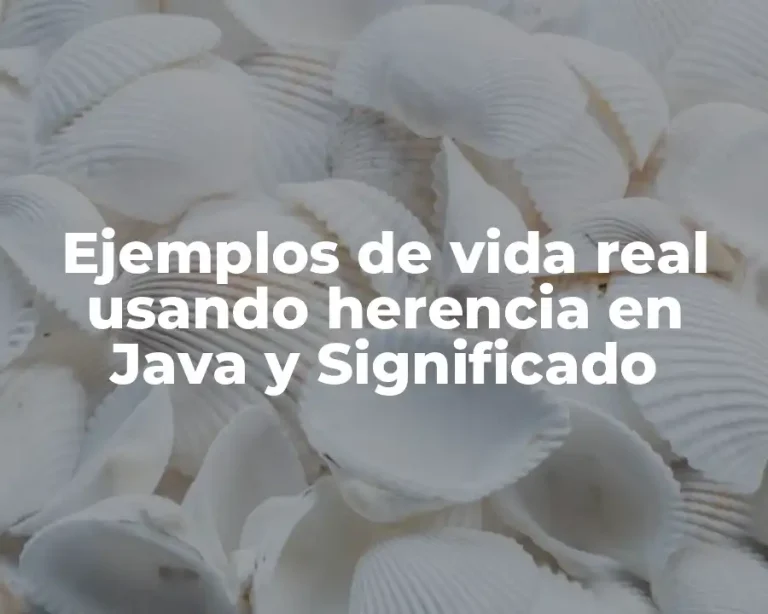 Ejemplos de vida real usando herencia en Java y Significado