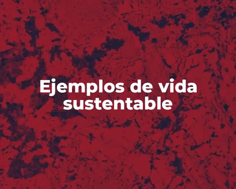Ejemplos de vida sustentable
