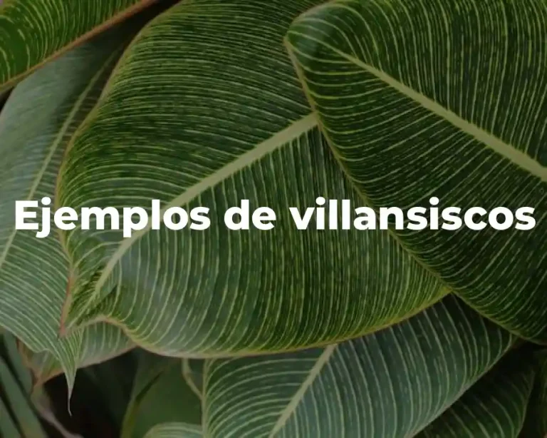 Ejemplos de villansiscos