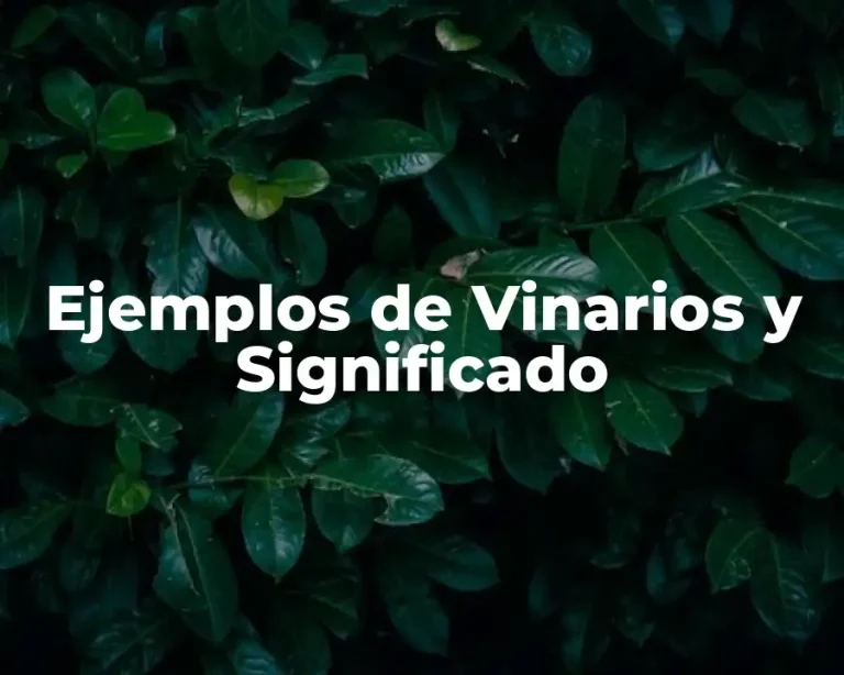 Ejemplos de Vinarios y Significado