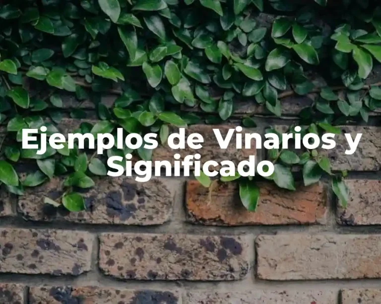 Ejemplos de Vinarios y Significado