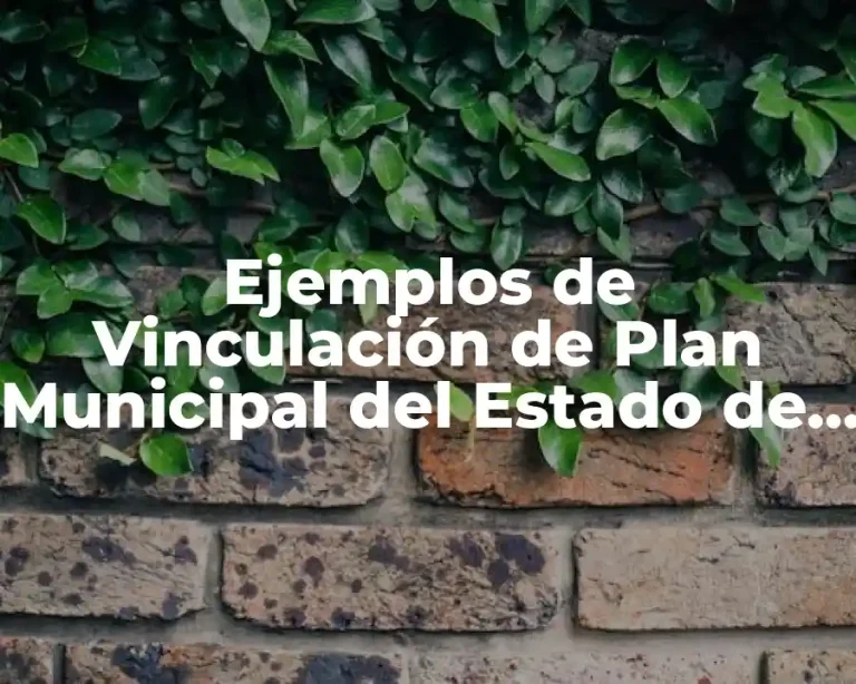 Ejemplos de Vinculación de Plan Municipal del Estado de Campeche
