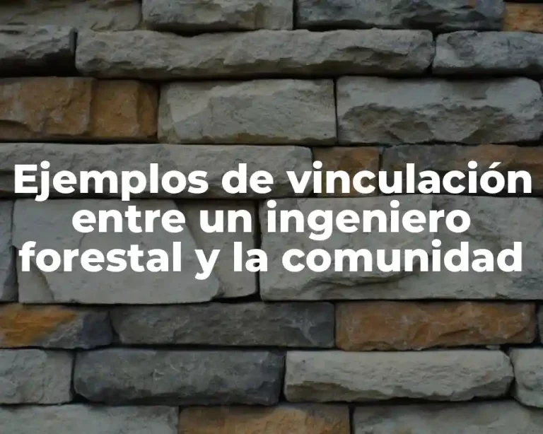 Ejemplos de vinculación entre un ingeniero forestal y la comunidad