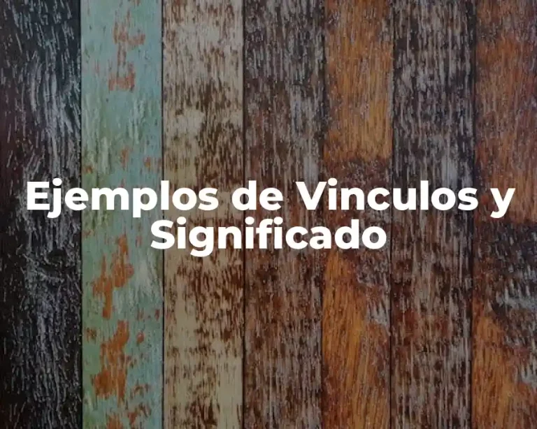 Ejemplos de Vinculos y Significado