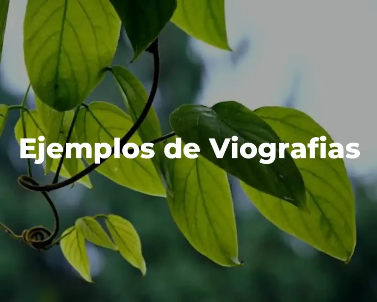 Ejemplos de Viografias