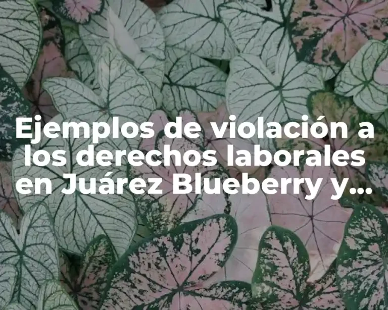 Ejemplos de violación a los derechos laborales en Juárez Blueberry y Significado