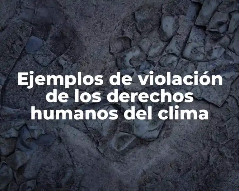Ejemplos de violación de los derechos humanos del clima