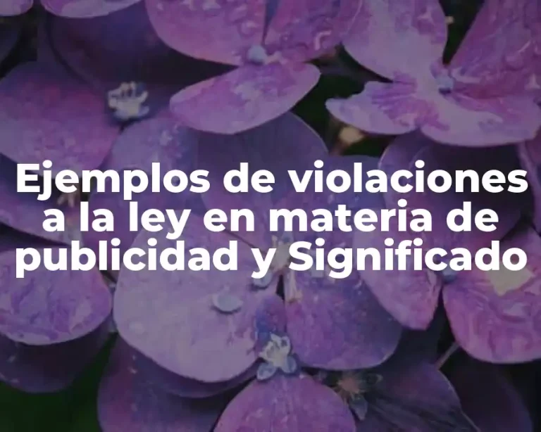Ejemplos de violaciones a la ley en materia de publicidad y Significado