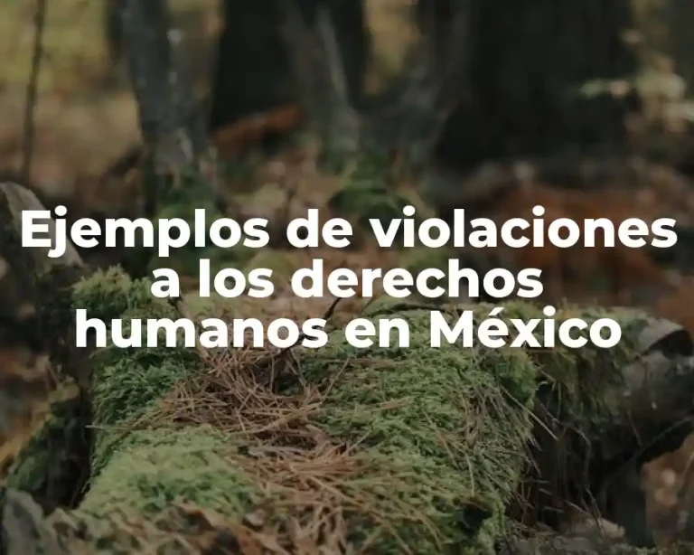 Ejemplos de violaciones a los derechos humanos en México