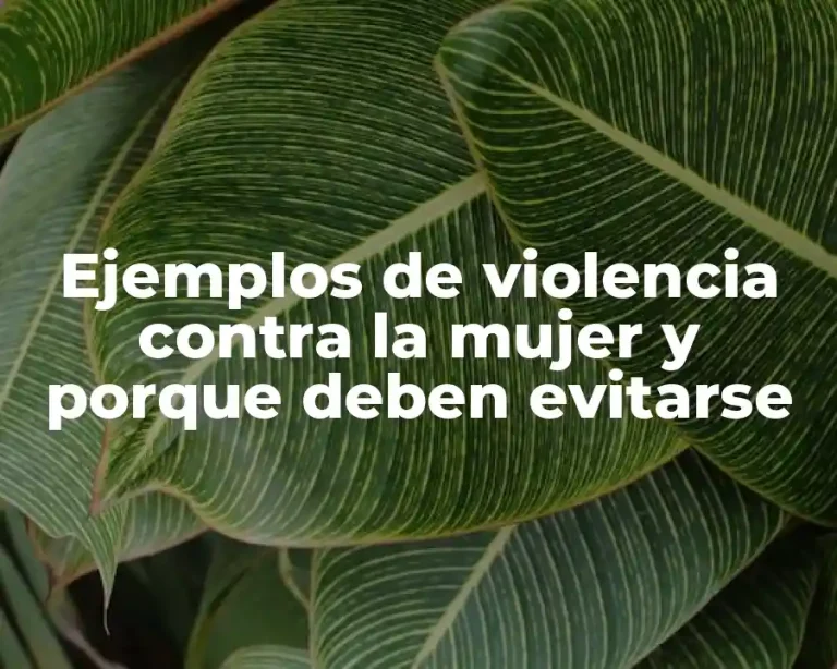 Ejemplos de violencia contra la mujer y porque deben evitarse