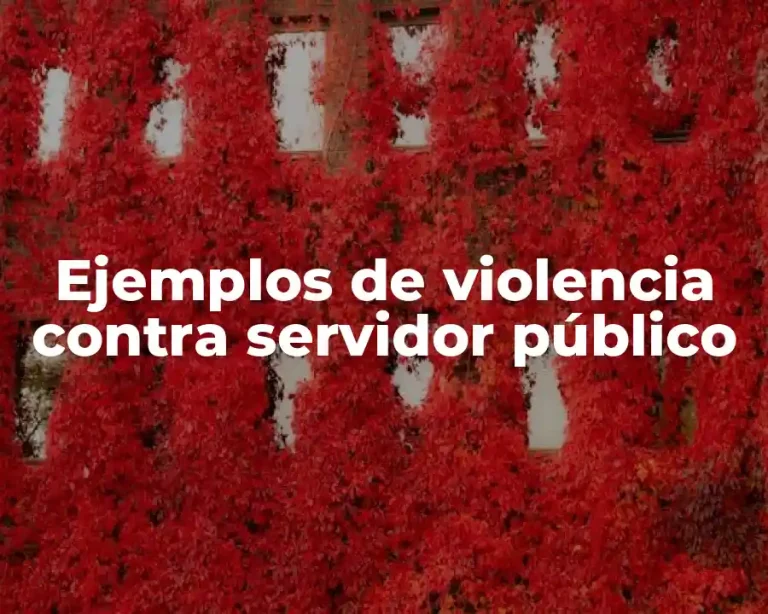 Ejemplos de violencia contra servidor público
